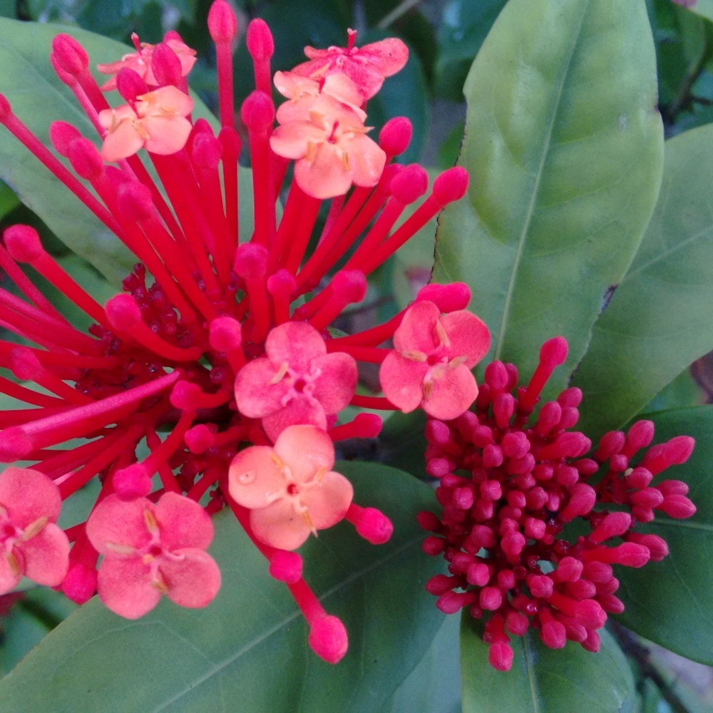 Meet your Posher, Alex - Picture 7 of 8